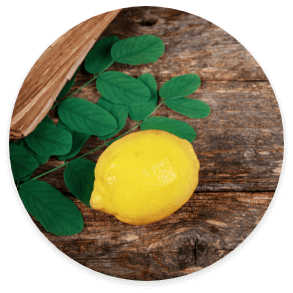 Myrtle leaves and a lemon on wooden background